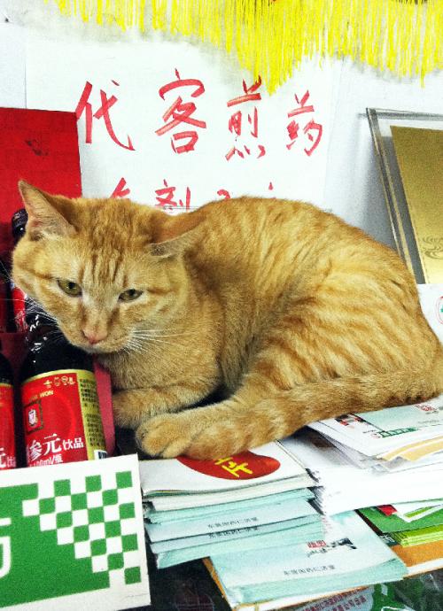 超市的猫腻你知道吗,发现了很多药店的内幕