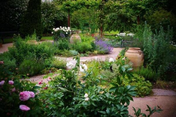 如果你来上海玩想打卡魔都,如果你要去上海我应该说什么