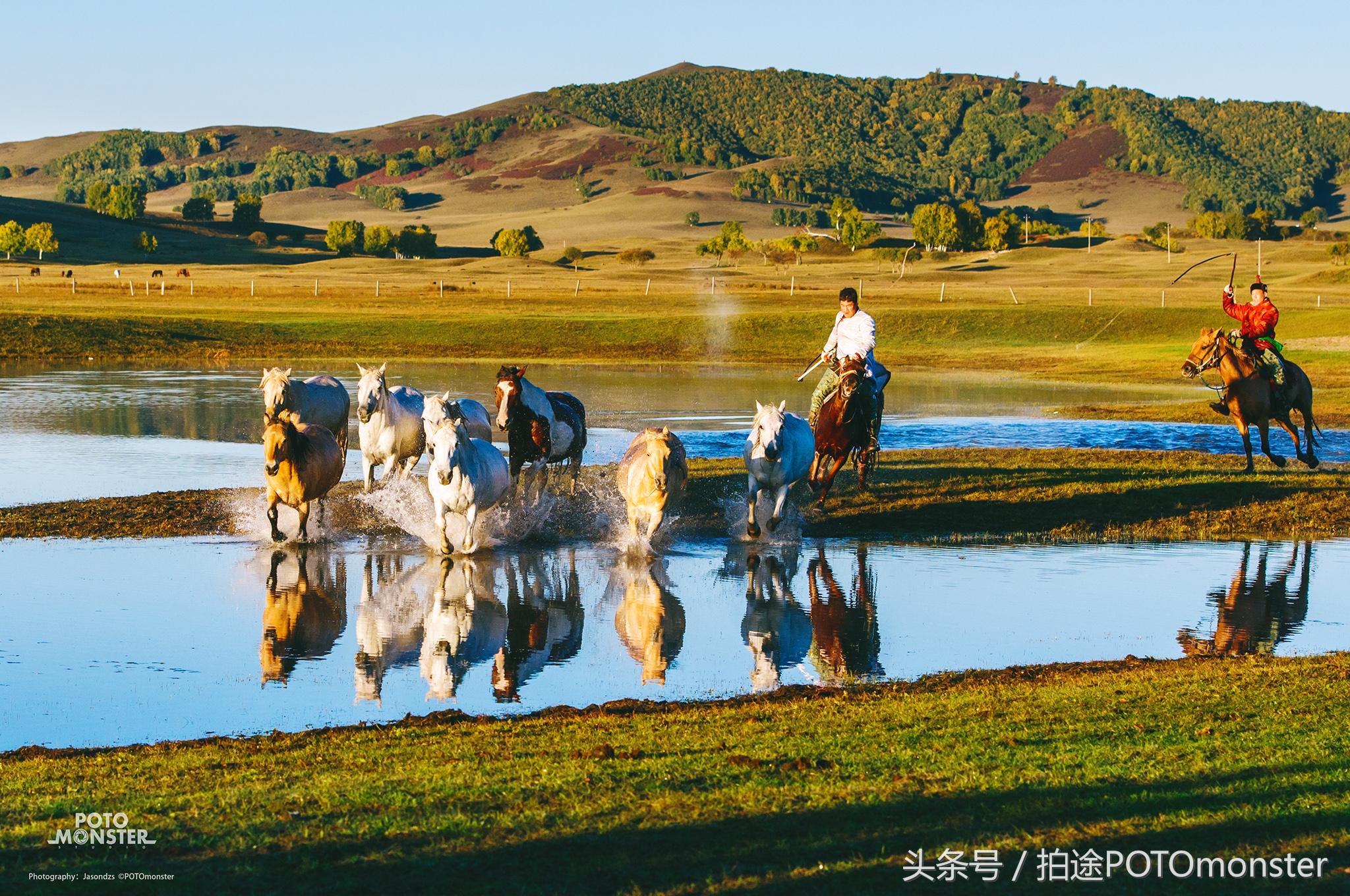 坝上草原奔马摄影作品,坝上草原拍奔马