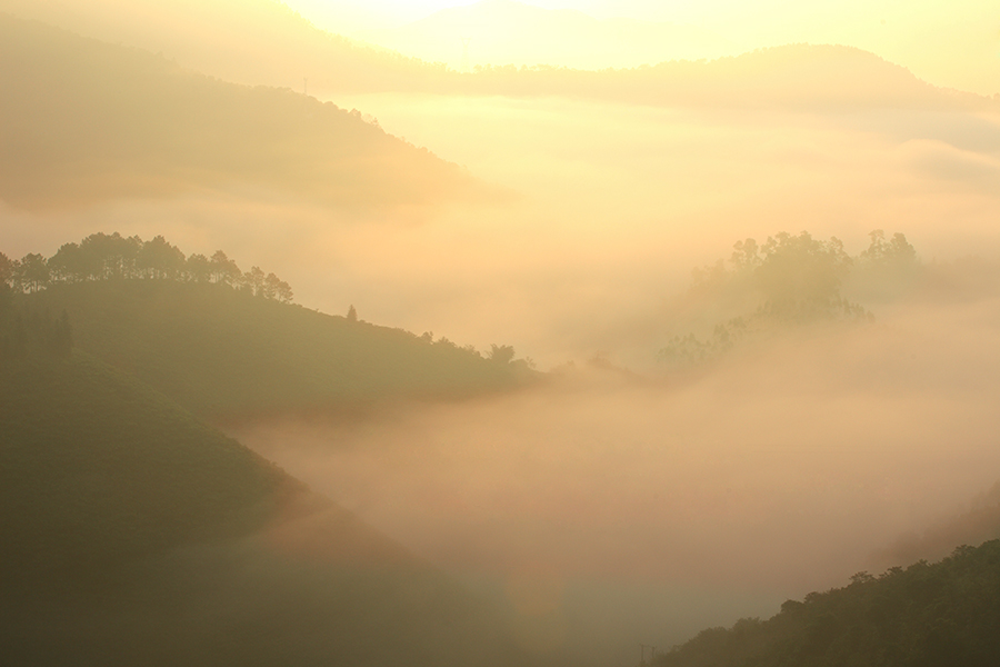 罗定看云海需要什么天气条件,云浮大云山看云海