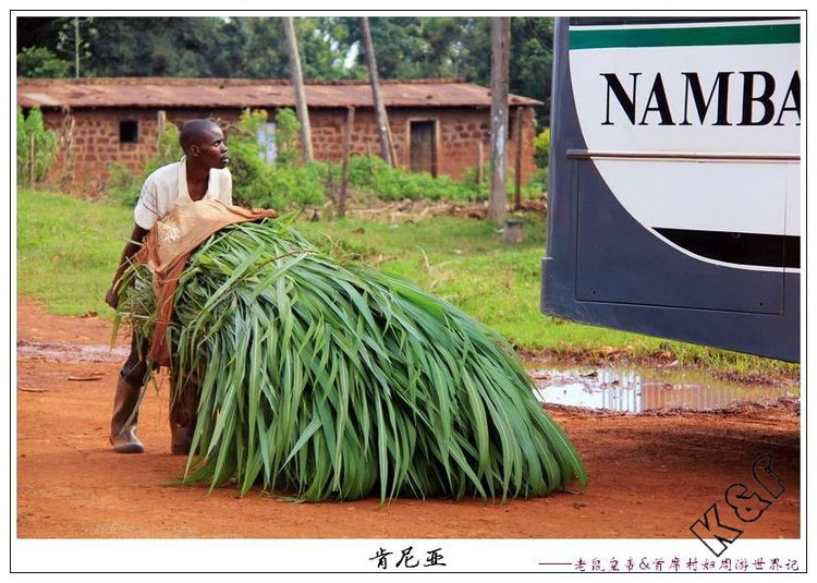 肯尼亚邮局*规则潜**：只要你吃狗肉，我就坚决不给你盖邮戳