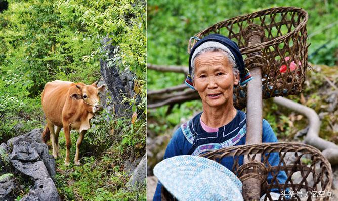 紫云县中洞苗寨已成为历史,贵州省紫云县中洞苗寨视频