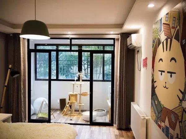 猫咪寄养屋,猫咪寄养民宿