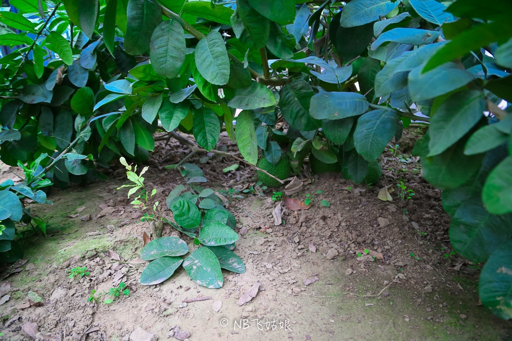 南通适合亲子游玩的园区,南通绿博园旁边游玩的地方