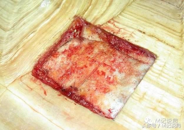 苏卡达陆龟乌龟卡脖子,苏卡达陆龟下颚裂开