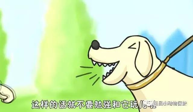 世界狂犬病日漫画,全球狂犬病爆发漫画