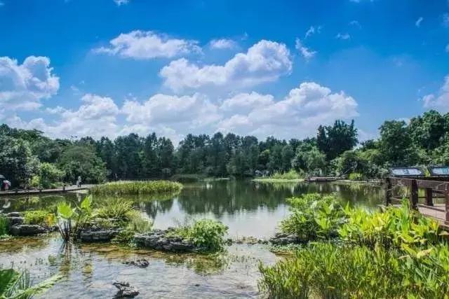 明天起，海珠区的人将身价暴涨！