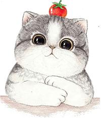 拖欠工资怎么办快速解决办法,拖欠工资怎么办北京