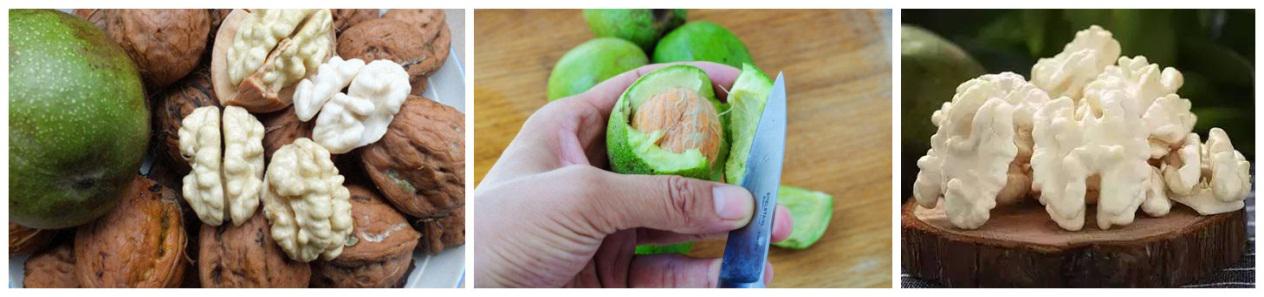 鱼和熊掌的减肥方法,减肥鱼与熊掌不能兼得