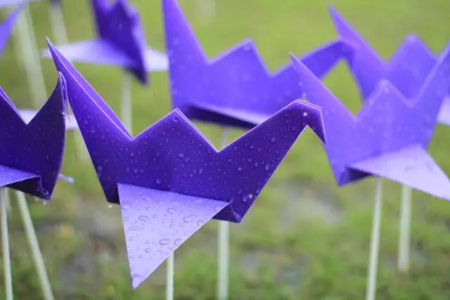 热气球南海桂城,桂城足球农庄团购