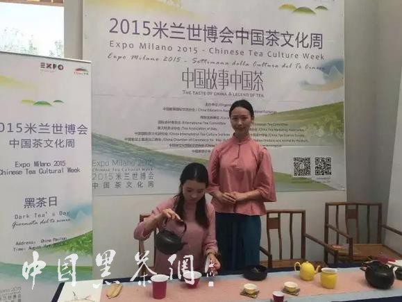 世博茶叶,中国十大世博名茶