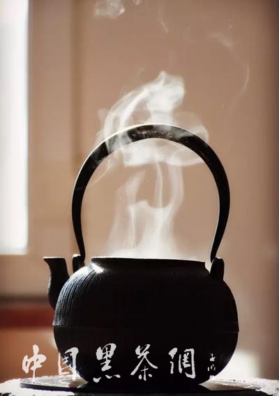 世博茶叶,中国十大世博名茶