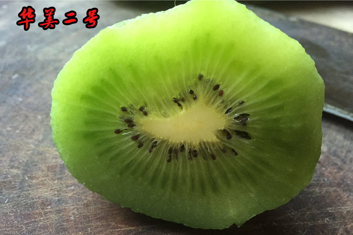 为什么有的猕猴桃一点都不酸,猕猴桃放软了还特别酸怎么回事
