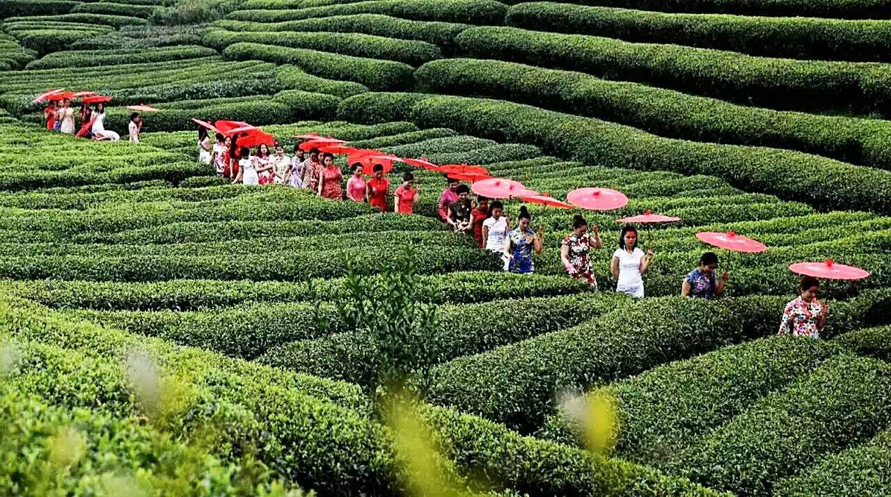 骞胯タ涓夋睙姊敯缇庡コ鍥剧墖,渚楁棌涓夋睙缇庡コ