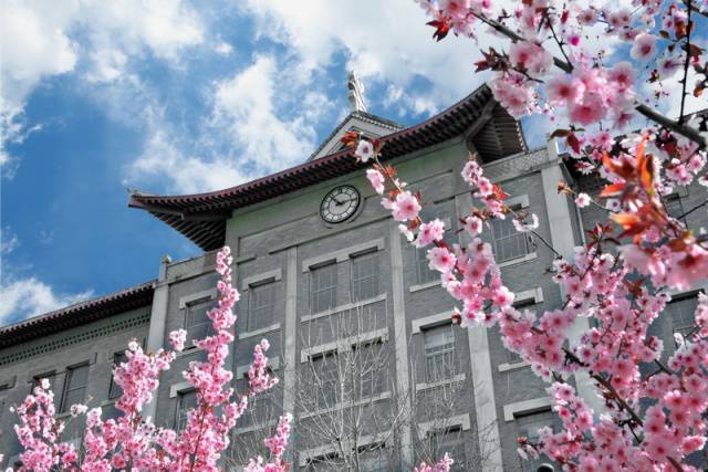 趣谈山大趵突泉校区，春风十里不如你