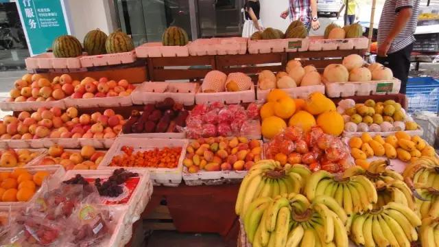 娲涢槼鐢熸椿鏀荤暐,娲涢槼鏈湴鐢熸椿鎸囧崡