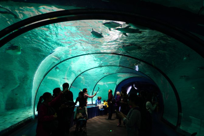 珠海长隆海洋王国2天1夜游玩攻略,最新珠海长隆海洋王国旅游攻略