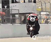 国外轮滑大神,国外滑板大神鞋