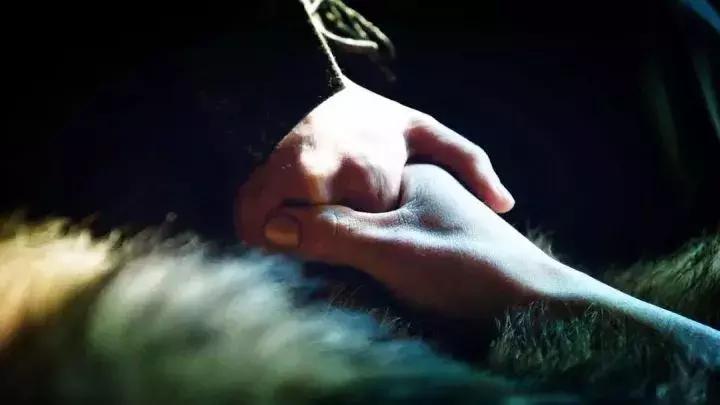 权力的游戏还会拍吗,权力的游戏有可能继续拍么