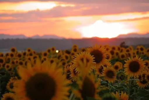 如何快速走出情绪的低谷,怎样快速走出心境低落