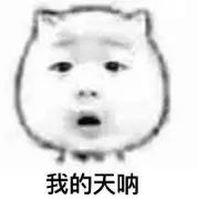 龟类冬眠方法技巧全面指南,各种龟类的冬眠方法