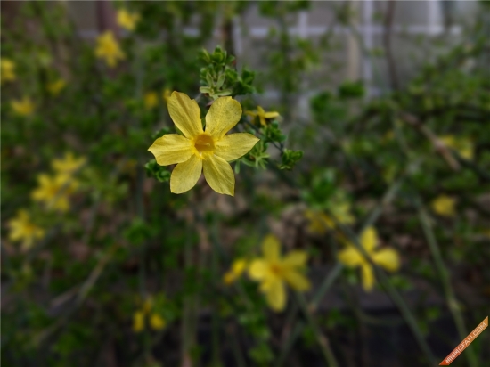 360f4手机高配版,360手机f4值不值得买