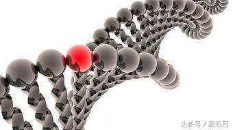 量子物理学能改变人类吗,人类越来越依赖科学吗