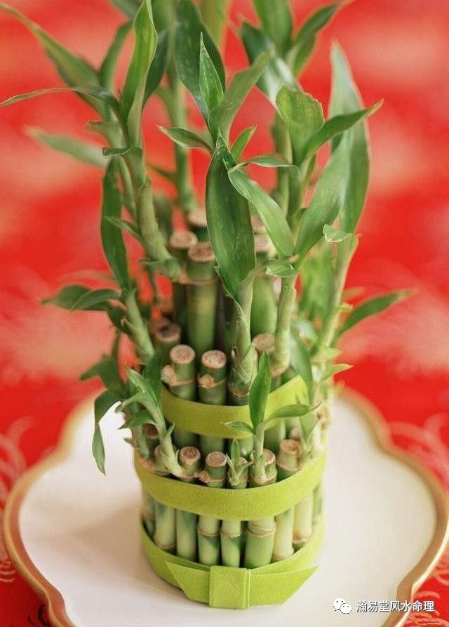 催旺财运要怎样做,催旺生意招财法