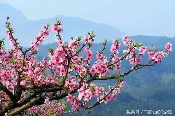 马鞍山到底是哪的,你以为的马鞍山和实际上的马鞍山