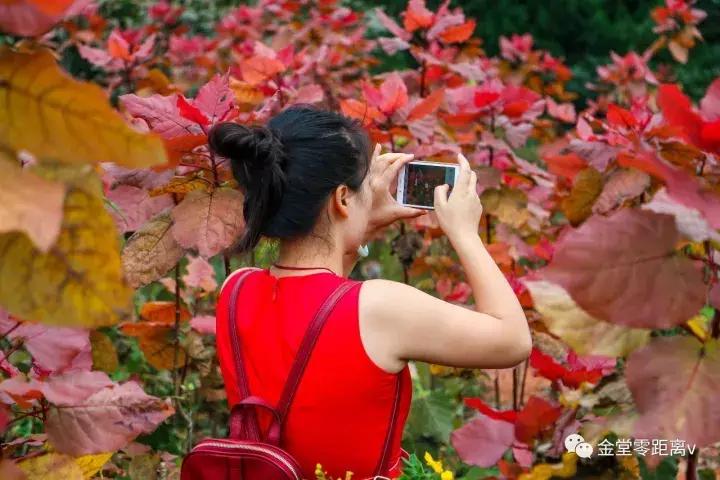 不想上班就去看看大城市,不想上班想去看山和海