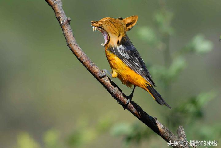 摄影技术怎么才能提高呢,简单的摄影难不难学