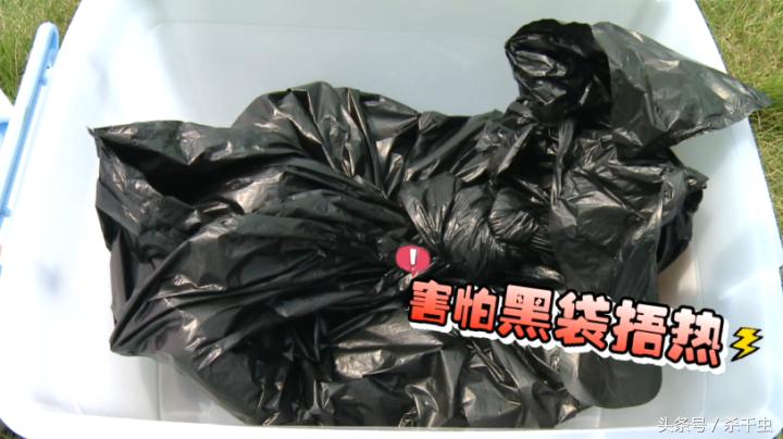 只要放在床上就能去螨虫的东西,螨虫克星帮你赶掉螨虫