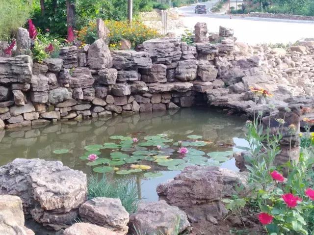 讲好山东故事散文完整版,讲好山东故事讲座