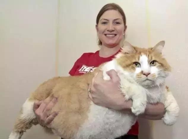 瀵圭尗鐨勮瑙ｅお娣变簡,甯︿綘鍏ㄩ潰浜嗚В姗樼尗