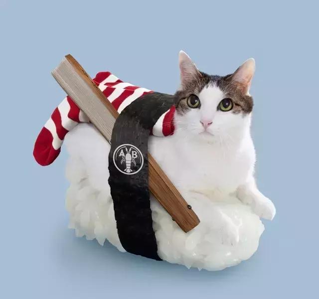 纹身师第一次给别人纹身,朋友带我去纹身然后后悔了