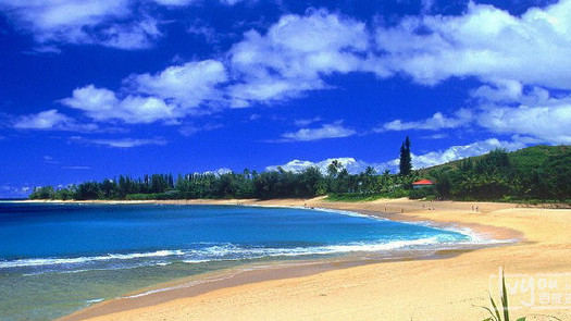 桃花岛有什么好吃,桃花岛旅游攻略一日游