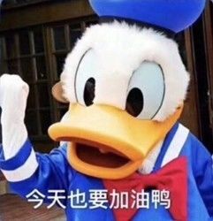 朋克如何养生,朋克养生方式是社会问题吗