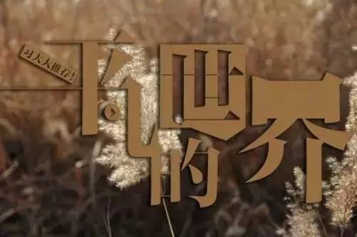 平凡的世界孙少平名句,平凡的世界里经典名人名句