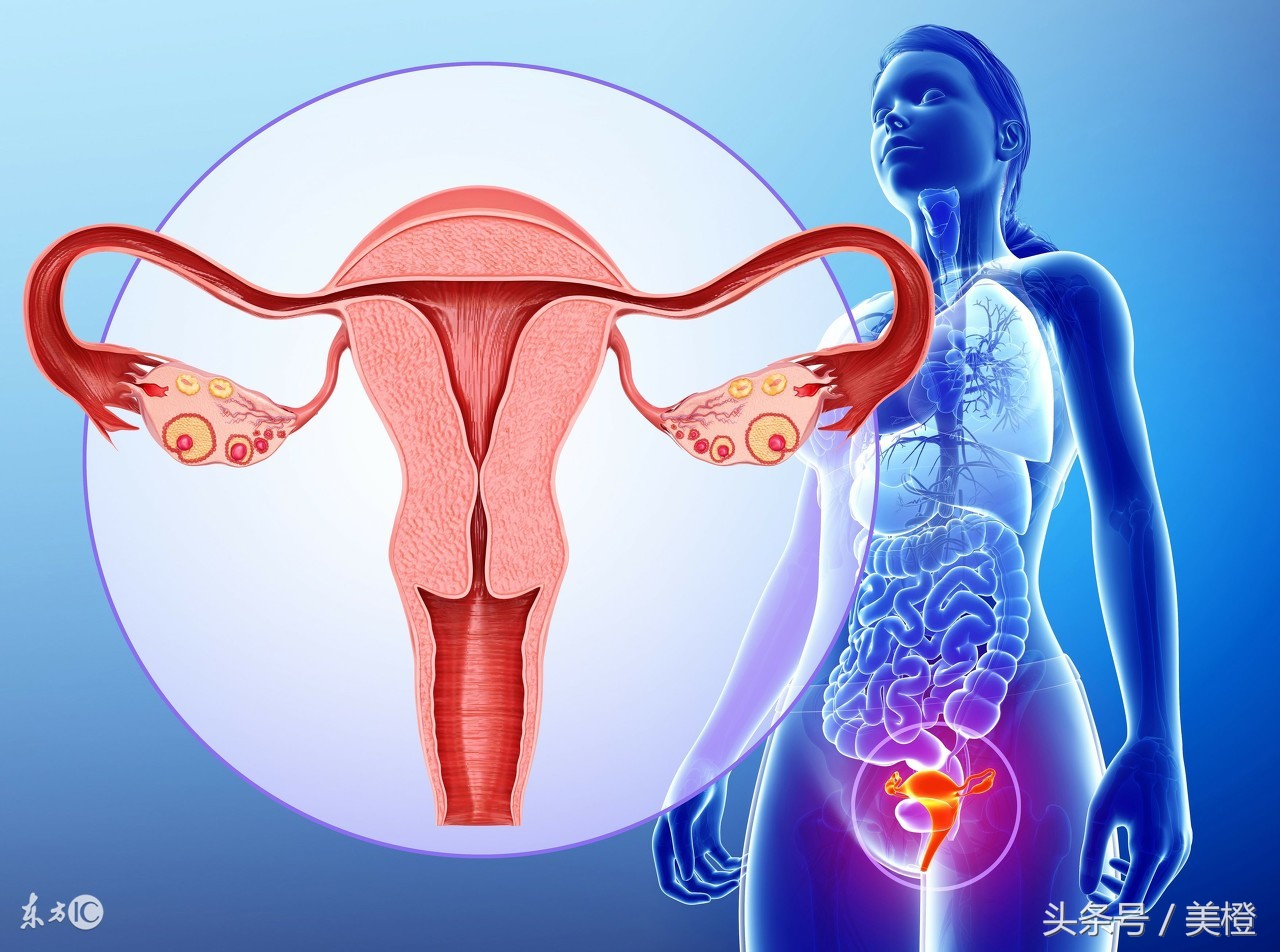 怎么样保养卵巢才能怀孕,怎么样保护卵巢的最好方法