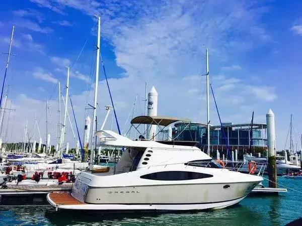 厦门旅游景点必去攻略自由行,厦门旅游攻略最好的城市自由行