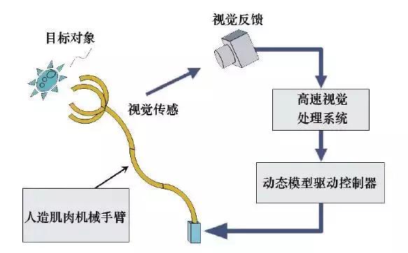 软体机器人的前沿与展望,软体机器人设计与理论的就业前景