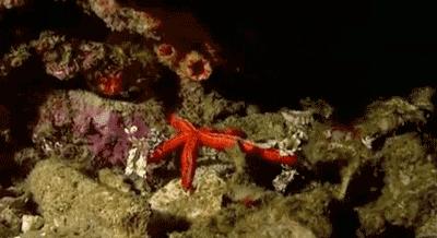 等了17年,等了你十七年