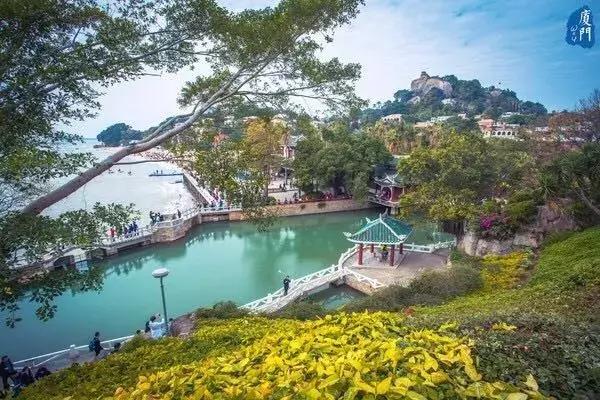厦门旅游景点必去攻略自由行,厦门旅游攻略最好的城市自由行