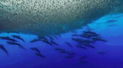 等了17年,等了你十七年