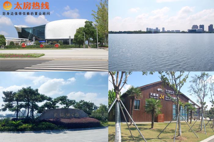 老城和新城二手房哪个好,老城和新城哪个值得投资