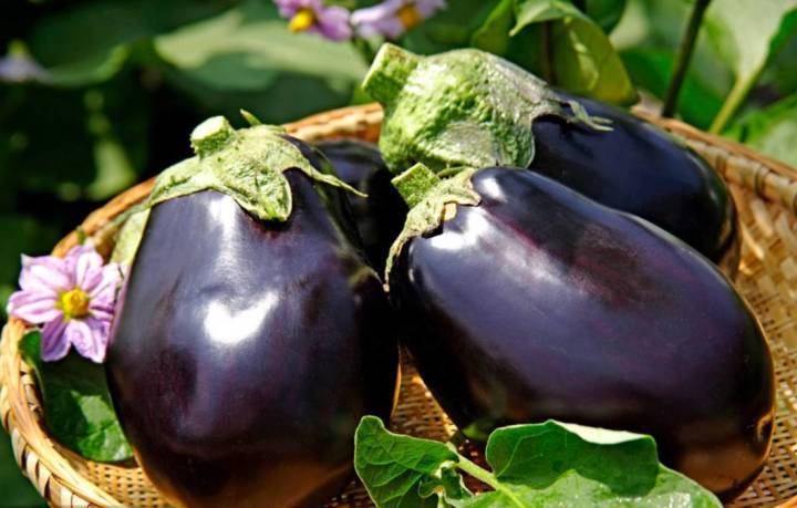 下半夜咳嗽吃什么食物能止咳,小孩咳嗽止咳化痰的食物