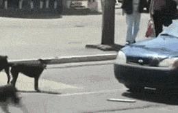 搞笑gif别惹我我疯起来自己都害怕,搞笑gif图一天天的就知道欺负我