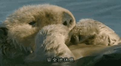 等了17年,等了你十七年