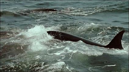 等了你十七年,等了17年