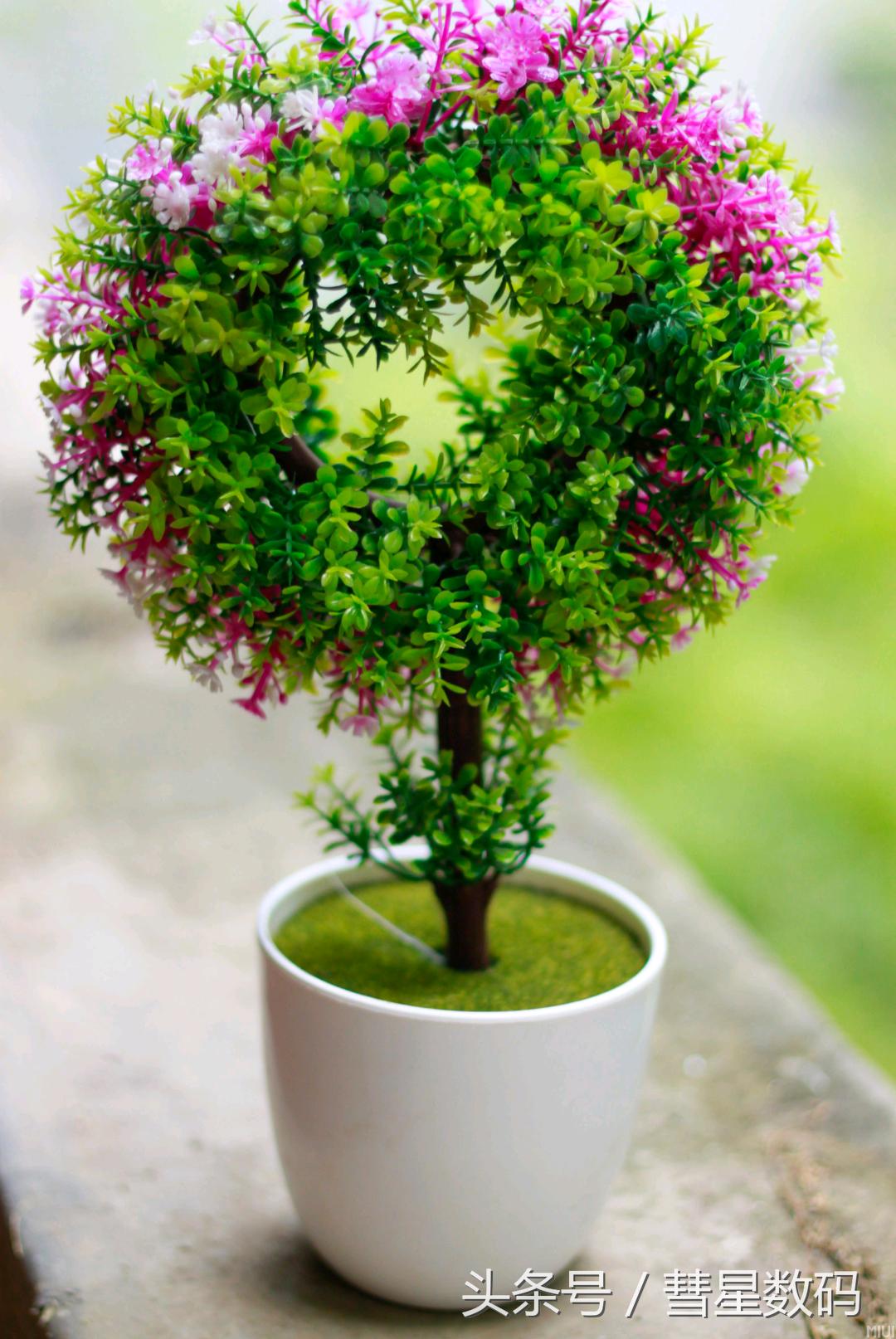 小米5分享,小米5X现在还能用吗